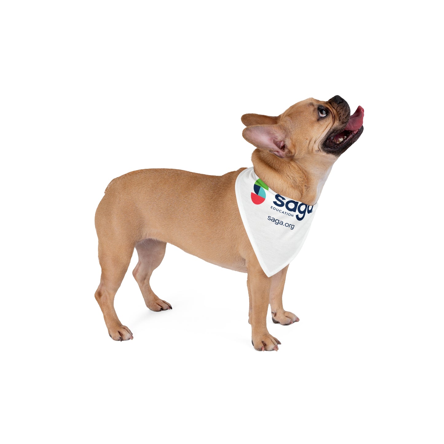Pet Bandana - Saga