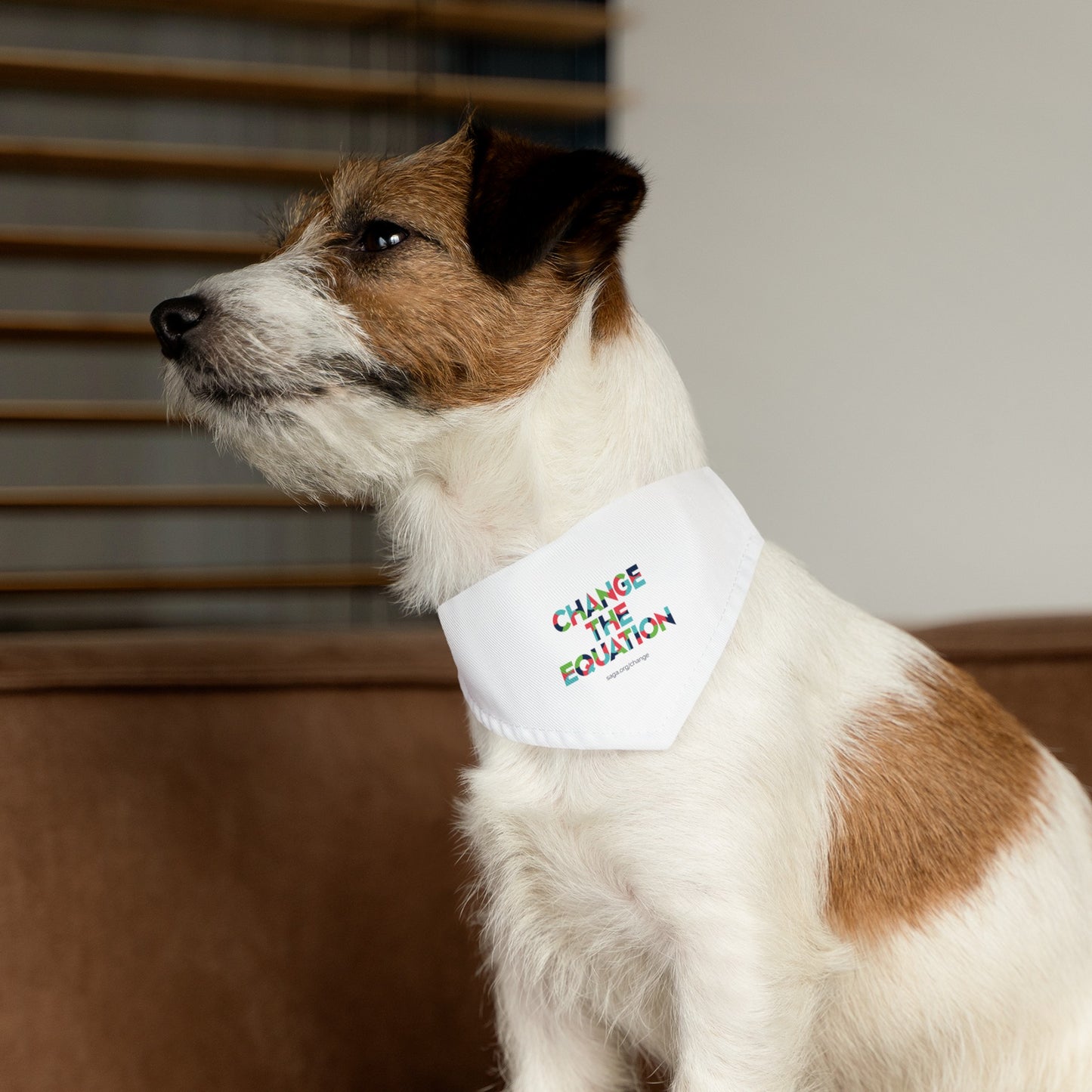 Pet Bandana Collar - Change the Equation