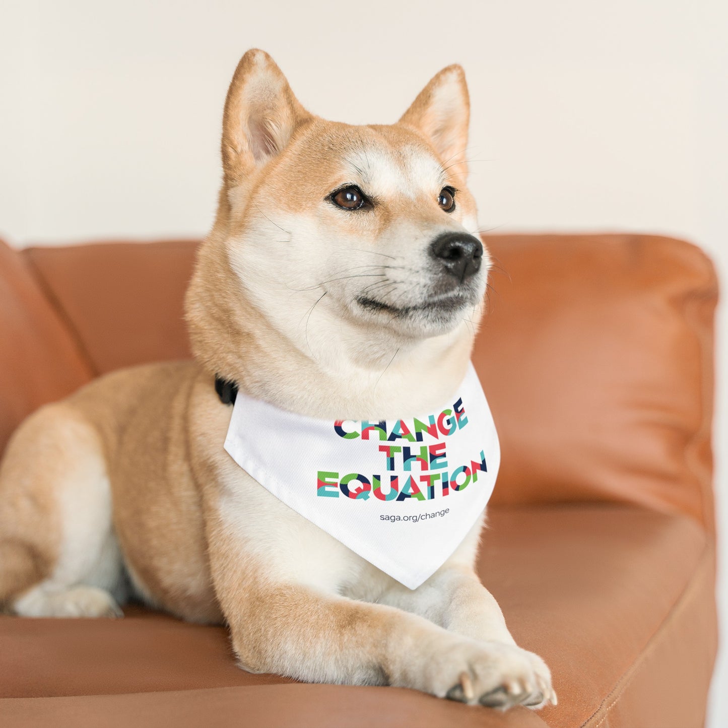 Pet Bandana Collar - Change the Equation