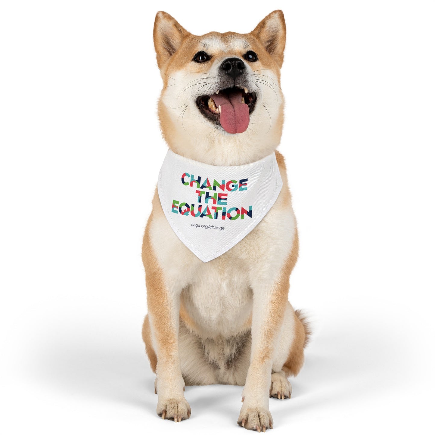 Pet Bandana Collar - Change the Equation