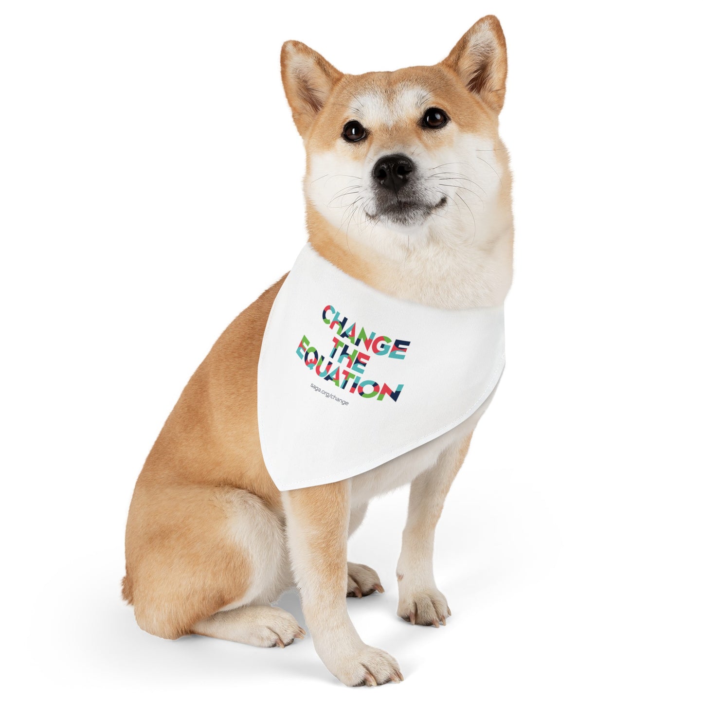 Pet Bandana Collar - Change the Equation