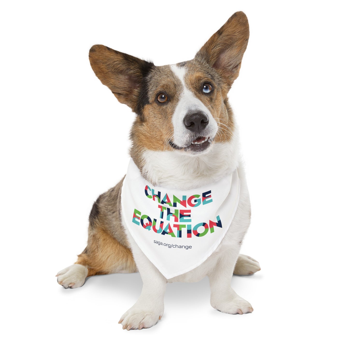 Pet Bandana Collar - Change the Equation