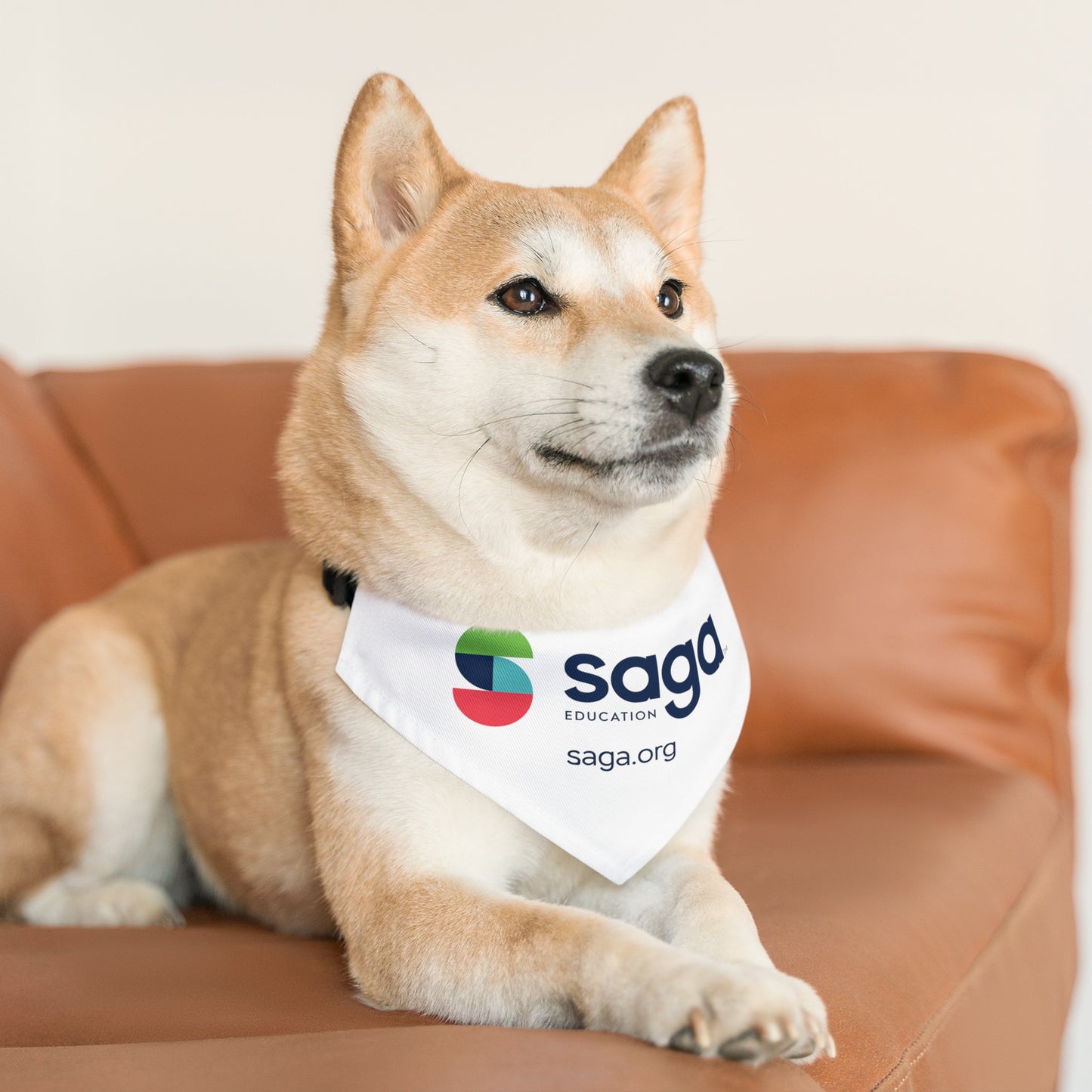 Pet Bandana Collar - Saga